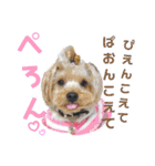 ルヴィちゃん1（個別スタンプ：18）