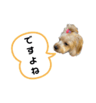 ルヴィちゃん1（個別スタンプ：21）