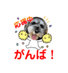 ルヴィちゃん1（個別スタンプ：23）