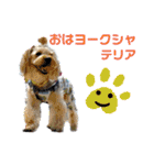 ルヴィちゃん1（個別スタンプ：25）