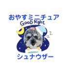 ルヴィちゃん1（個別スタンプ：26）