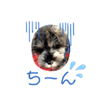 ルヴィちゃん1（個別スタンプ：29）
