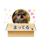 ルヴィちゃん1（個別スタンプ：31）