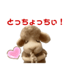 にわのえほん#2 しっぽちゃんの勝本弁（個別スタンプ：9）