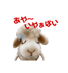 にわのえほん#2 しっぽちゃんの勝本弁（個別スタンプ：12）