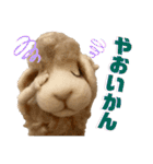 にわのえほん#2 しっぽちゃんの勝本弁（個別スタンプ：18）