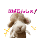 にわのえほん#2 しっぽちゃんの勝本弁（個別スタンプ：20）