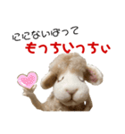 にわのえほん#2 しっぽちゃんの勝本弁（個別スタンプ：28）