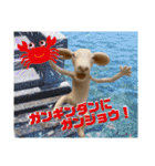 にわのえほん#2 しっぽちゃんの勝本弁（個別スタンプ：40）