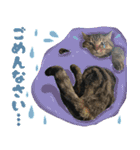 ふぁみりー NYAn’s（個別スタンプ：13）