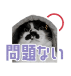 ふぁみりー NYAn’s（個別スタンプ：28）