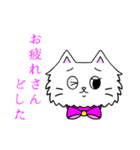 可愛いペルシャ猫 京都弁（個別スタンプ：5）