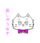 可愛いペルシャ猫 京都弁（個別スタンプ：35）