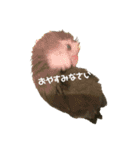 コザクラインコはなちゃん（個別スタンプ：8）