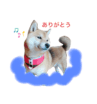 けんケンKEN（個別スタンプ：4）