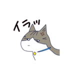 3匹のネコ（河童）（個別スタンプ：4）