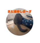 すぎうらしげる（個別スタンプ：8）