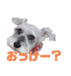 Mシュナ★トトから一言（個別スタンプ：6）