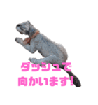 Mシュナ★トトから一言（個別スタンプ：9）