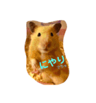 キンクマハムスターはむのすけ（個別スタンプ：1）