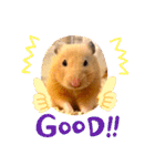 キンクマハムスターはむのすけ（個別スタンプ：18）