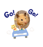 キンクマハムスターはむのすけ（個別スタンプ：32）
