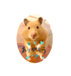 キンクマハムスターはむのすけ（個別スタンプ：33）