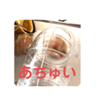 キンクマハムスターはむのすけ（個別スタンプ：39）