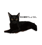 黒猫ルナの返事1（個別スタンプ：2）