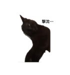 黒猫ルナの返事1（個別スタンプ：6）