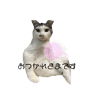 まろむぎ日和（個別スタンプ：8）