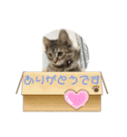 まろむぎ日和（個別スタンプ：9）