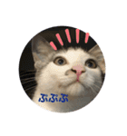 まろむぎ日和（個別スタンプ：14）