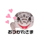 兵庫卍會激しぶスタンプ（個別スタンプ：3）