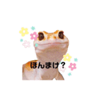 兵庫卍會激しぶスタンプ（個別スタンプ：8）