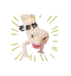 兵庫卍會激しぶスタンプ（個別スタンプ：9）