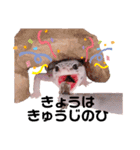 兵庫卍會激しぶスタンプ（個別スタンプ：17）