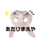 兵庫卍會激しぶスタンプ（個別スタンプ：20）