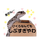 兵庫卍會激しぶスタンプ（個別スタンプ：24）