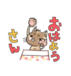 阿波にゃんこ（個別スタンプ：1）