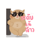 ぽっちゃり太った猫（個別スタンプ：1）
