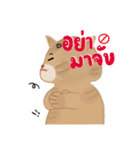 ぽっちゃり太った猫（個別スタンプ：10）