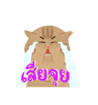 ぽっちゃり太った猫（個別スタンプ：12）