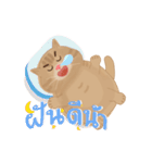 ぽっちゃり太った猫（個別スタンプ：13）