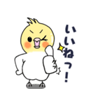 オカメのメイちゃん。（個別スタンプ：5）
