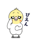 オカメのメイちゃん。（個別スタンプ：11）