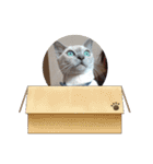 みんなのおでんくん（個別スタンプ：10）