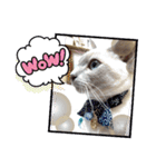 みんなのおでんくん（個別スタンプ：13）