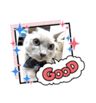 みんなのおでんくん（個別スタンプ：15）