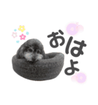 おとぼけといぷー2（個別スタンプ：2）